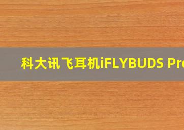 科大讯飞耳机iFLYBUDS Pro2